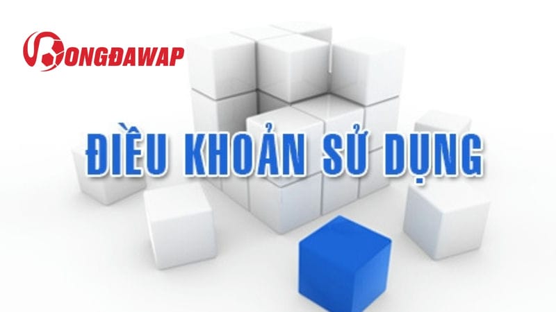 Điều khoản chung cho các dịch vụ