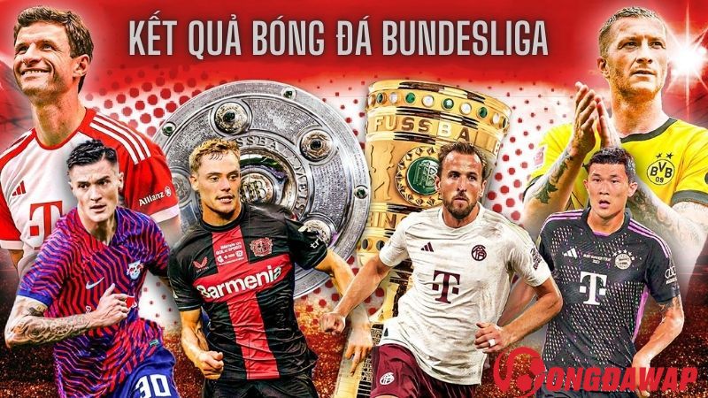 Theo dõi cập nhật kết quả bóng đá bundesliga