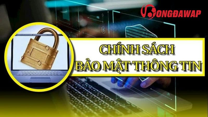 thông tin của chính sách bảo mật