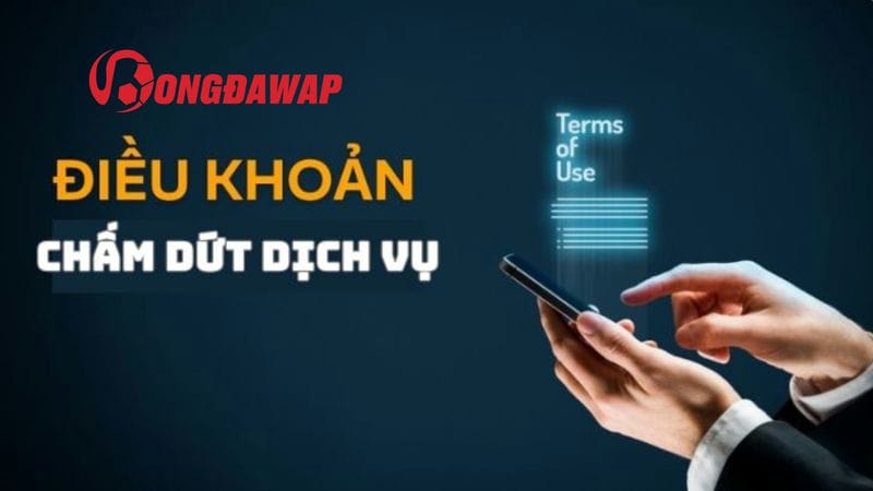 Nghĩa vụ của người tham gia điều khoản sử dụng