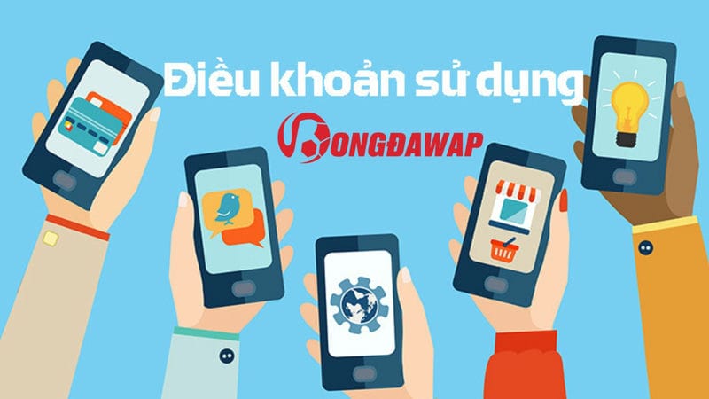 cập nhật thêm về điều khoản sử dụng